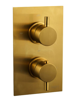 More Finishes Concealed Shower Mixer For Modern Bathrooms T8561