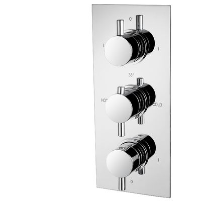 Polished Concealed Shower Mixer Featuring Ceramic Valve Type T8562