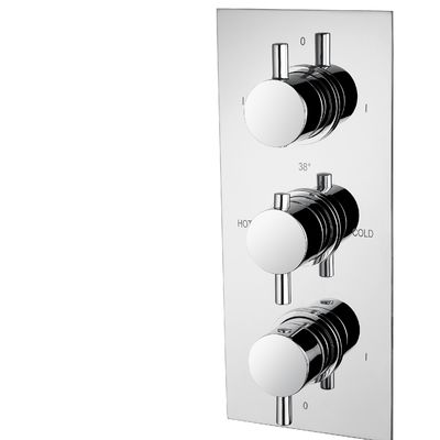 Polished Concealed Shower Mixer Featuring Ceramic Valve Type T8562