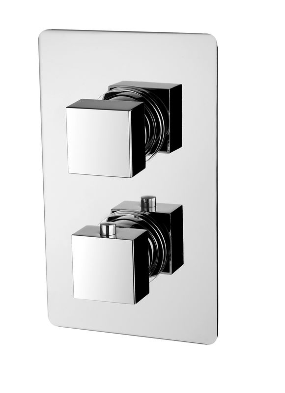 Standard Thermostatic Bath Mixer With Chrome Finish For Public Restroom T8563