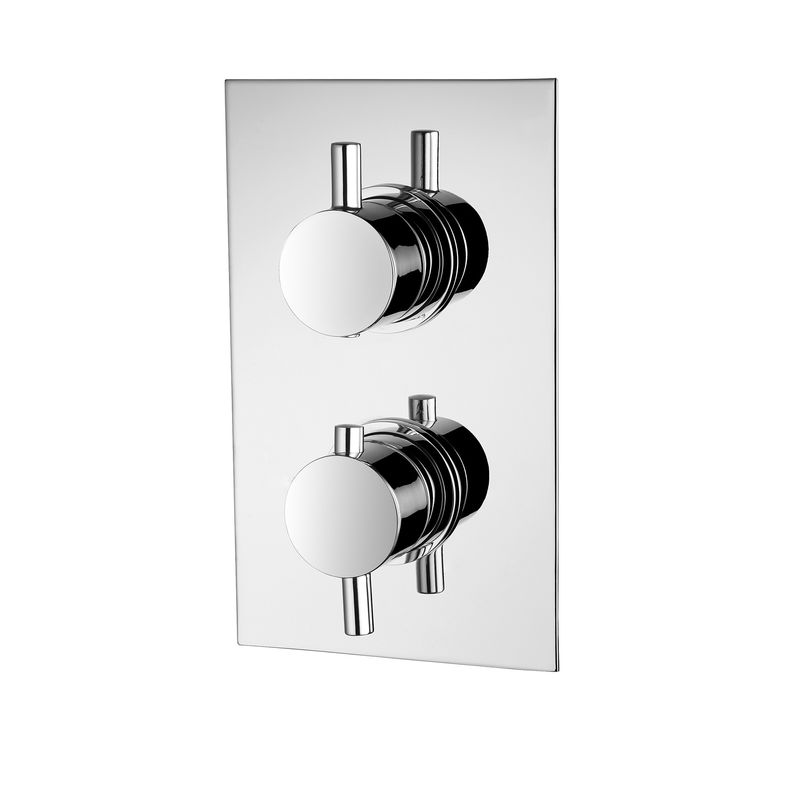 More Finishes Concealed Shower Mixer For Modern Bathrooms T8561