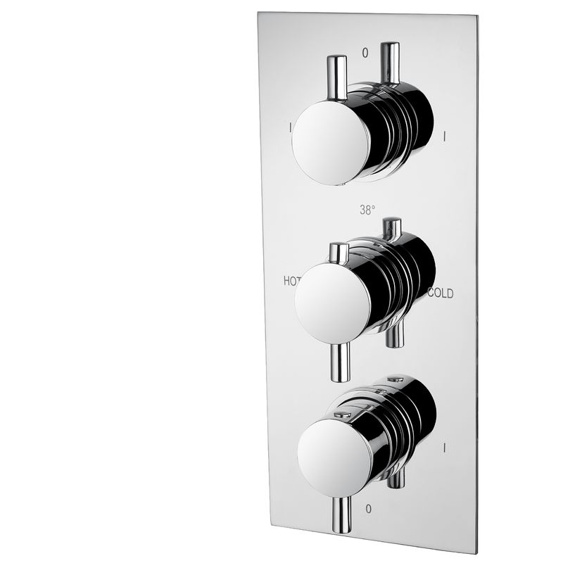 Polished Concealed Shower Mixer Featuring Ceramic Valve Type T8562